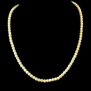 Vintage Bovine Bone Beaded Necklace